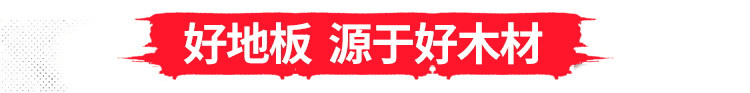 室内体育木地板品牌