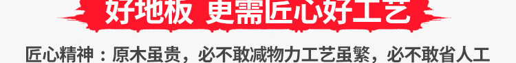 运动实木地板品牌